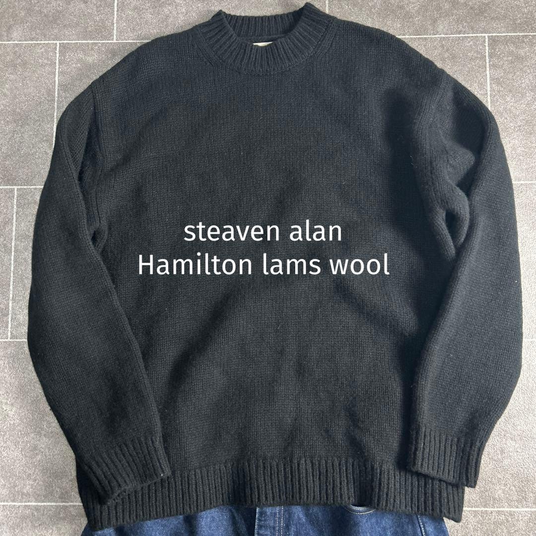 美品⭐︎スティーブンアラン⭐︎ハミルトンラムズウールモックネック