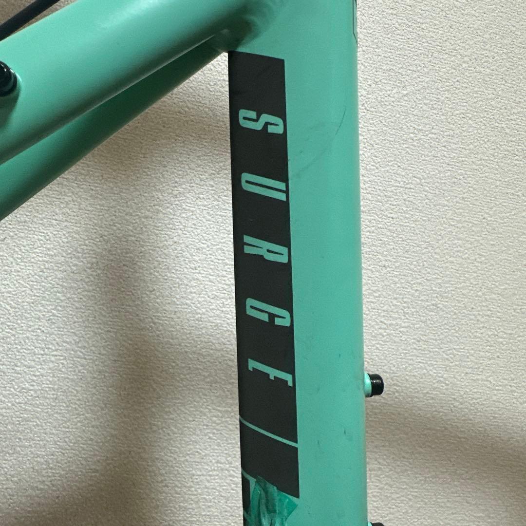早い者勝ち！※ tern Surge 52cm ミントグリーンxブラック