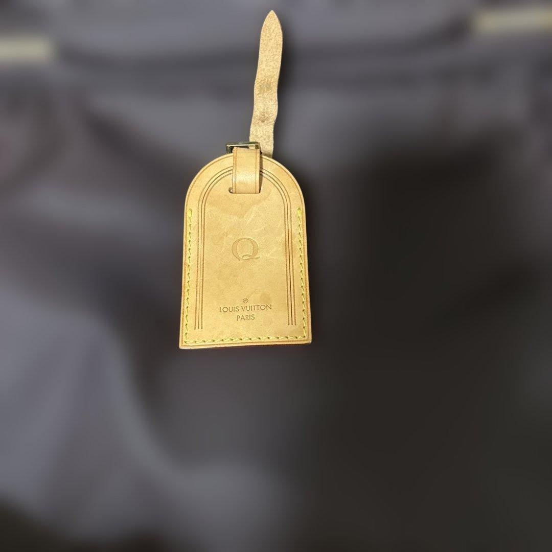 Louis Vuitton ヴェルニ パープル ペガス45 キャリーケース