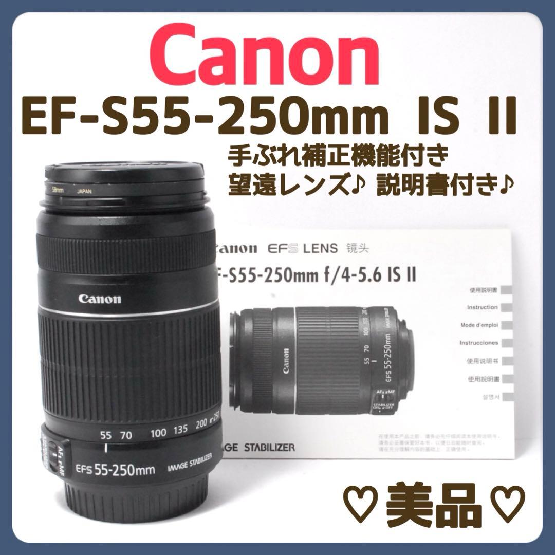 美品✨Canon EF-S 55-250mm IS II 望遠レンズ✨説明書付き 高性能な望遠レンズ！Canon EF S55-250mm F4-5.6 IS STM 実写レビュー