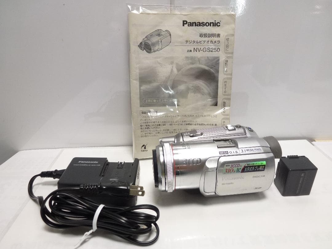 大人気　動作品　Mini DV　パナソニックビデオカメラ　NV-GS250 動作品 Mini DV パナソニックビデオカメラ NV-GS250 - メルカリ