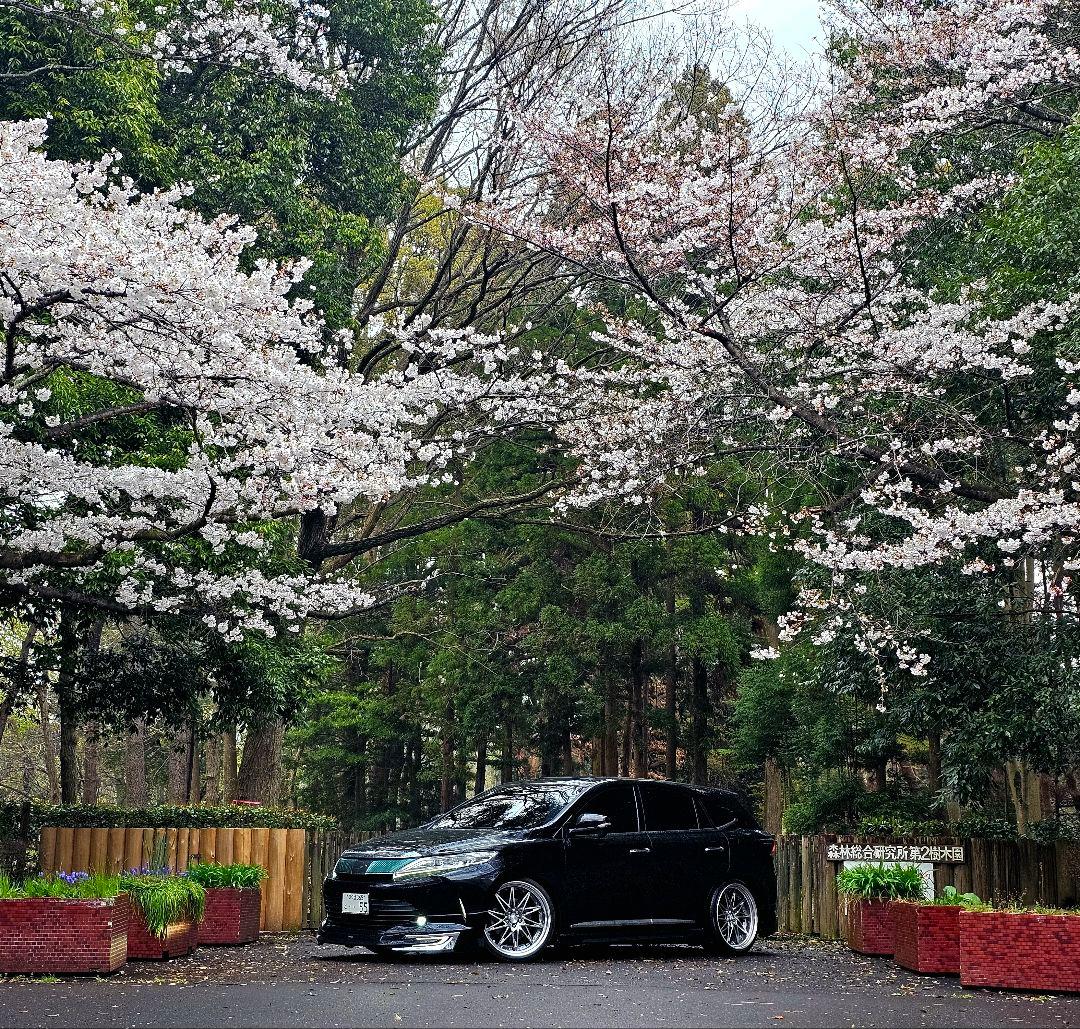 21インチ WORK SG1 シュバート 10J 多少のお値下げ可能です！ - メルカリ