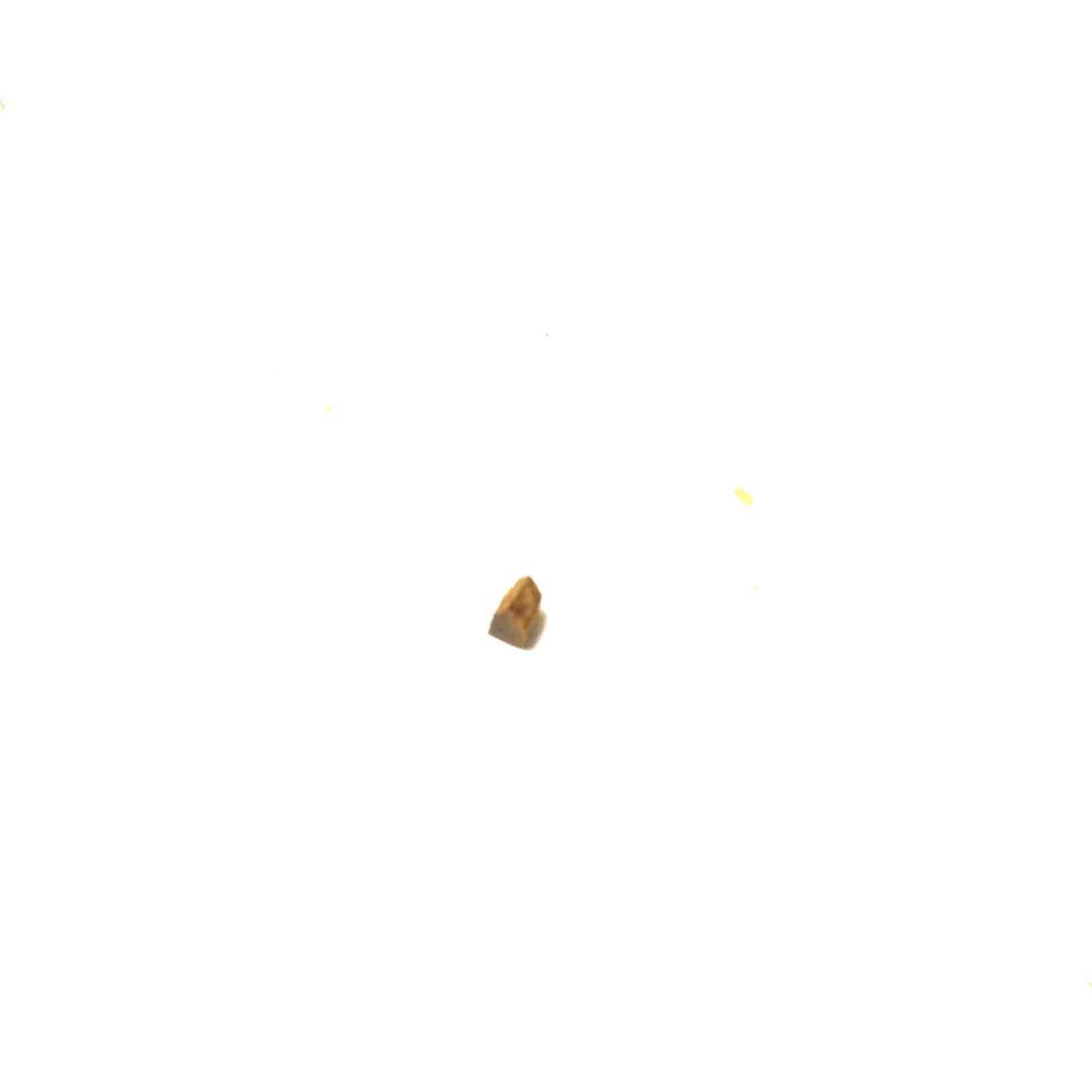 山田松香木店　伽羅　黄油　0.38g