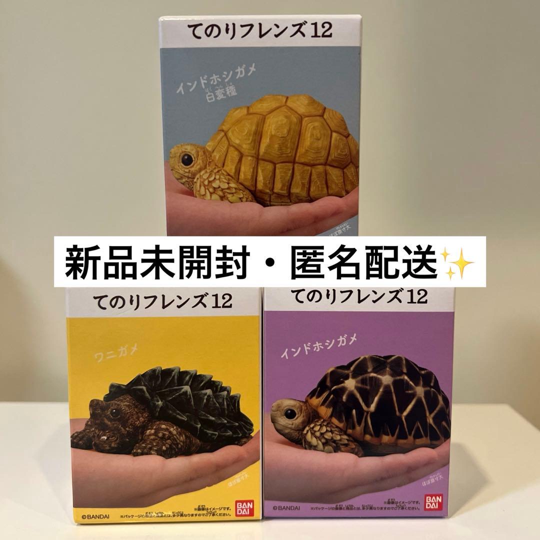 てのりフレンズ12 インドホシガメ ワニガメ 白変種 亀コンプリート3点