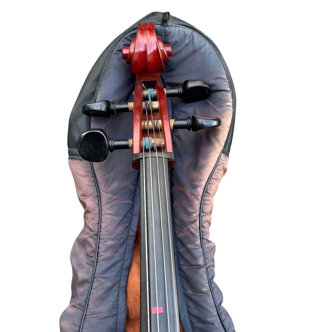 Kosuke Inoko/猪子宏祐 チェロ Anno1970【ジャンク品】 - メルカリ