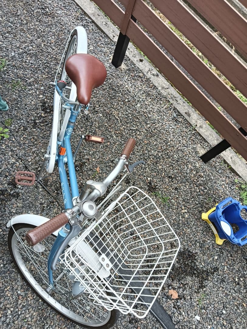 手渡し 子供用自転車 チャンスター24インチ