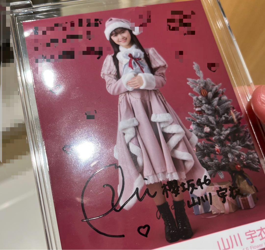 櫻坂46 山川宇衣 直筆サイン入り生写真 2025年サンタ衣装 即購入可