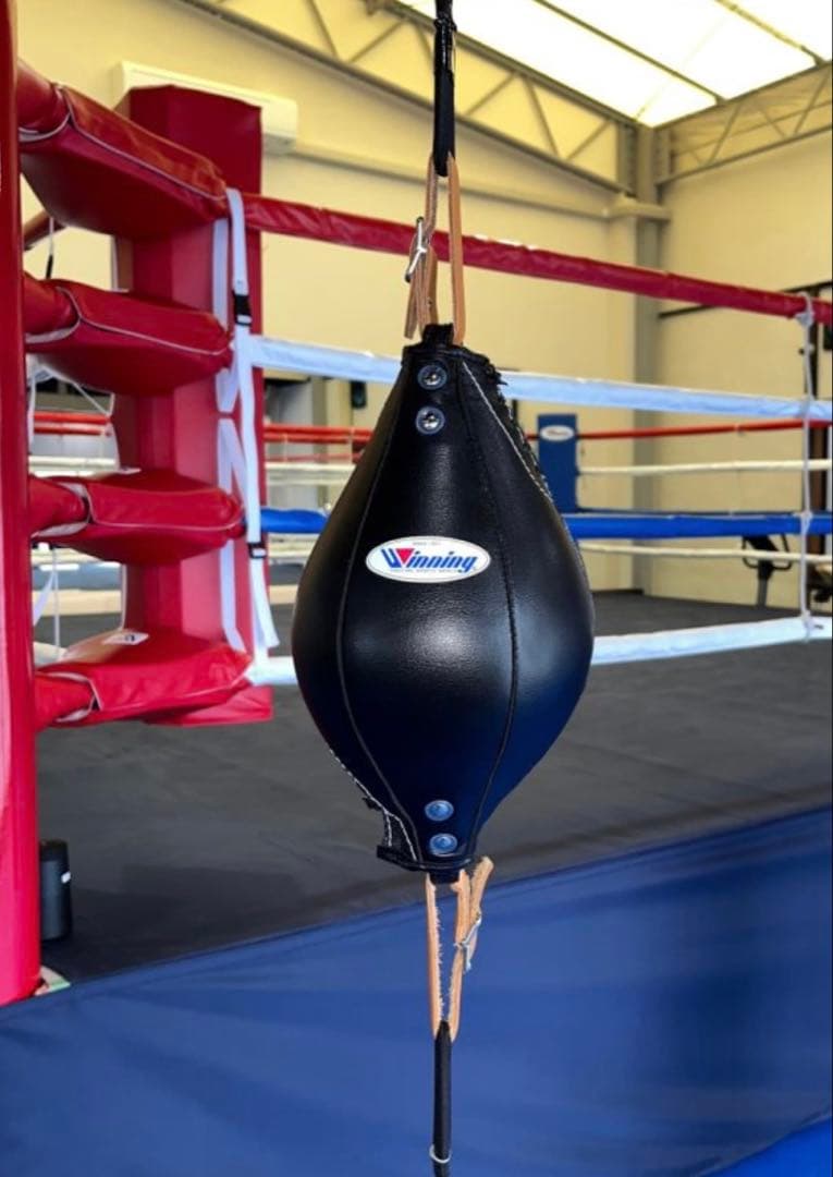 winningウイニングダブルエンドパンチングボール Winning/ウイニング】 パンチングボールダブルエンド丸型 – ボクシング