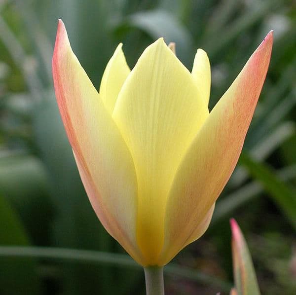 アップルパイ様 リクエスト 6点 まとめ商品 - メルカリ