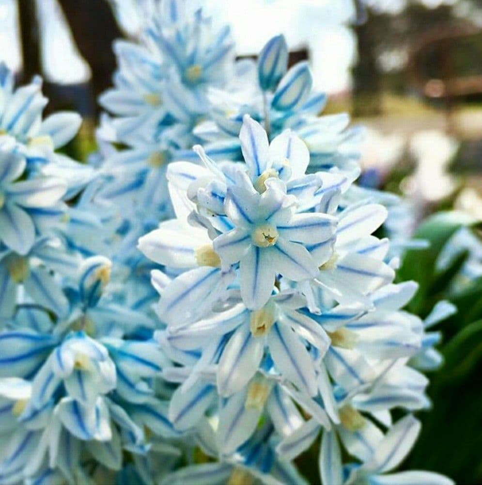 アップルパイ様 リクエスト 6点 まとめ商品 - メルカリ