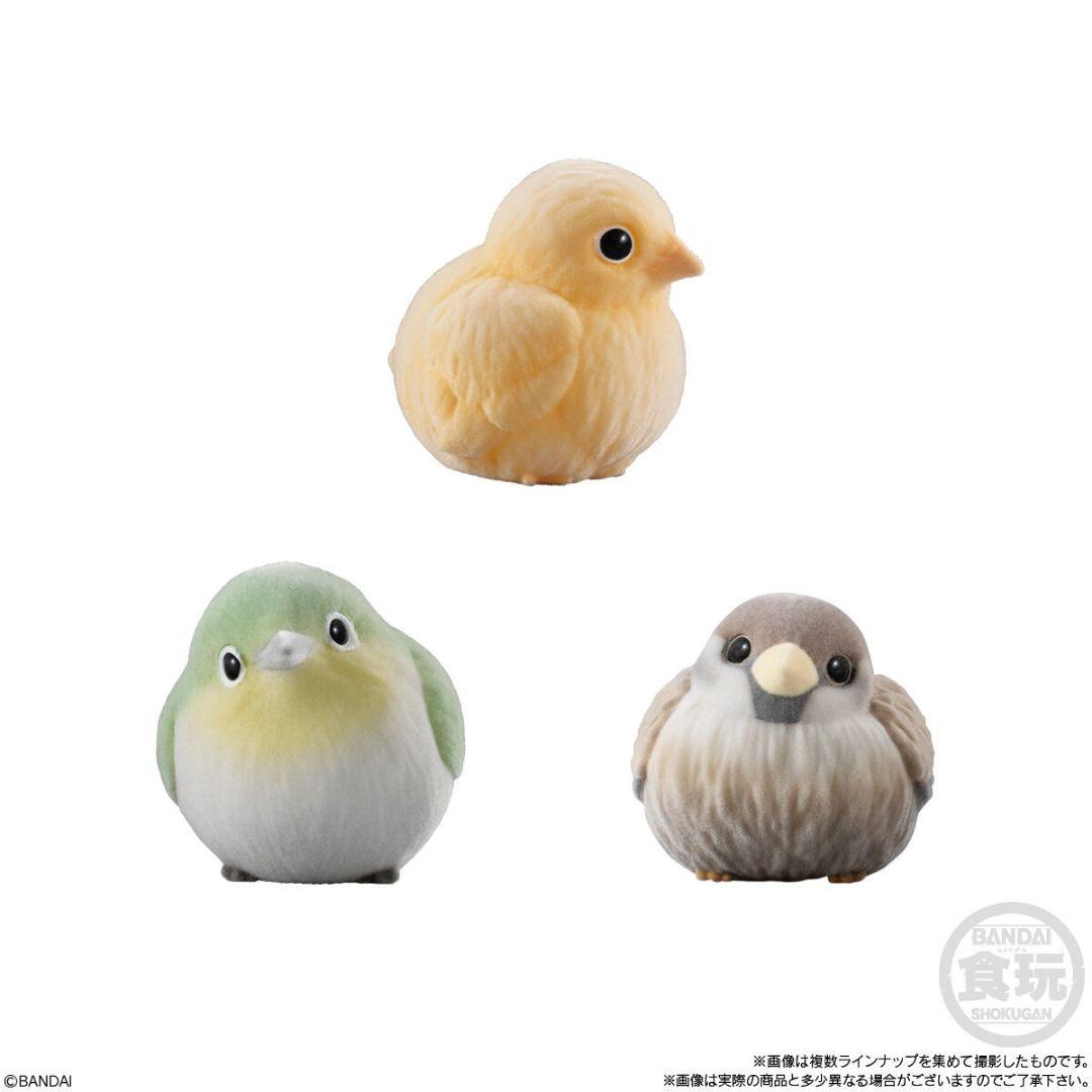 BANDAI】カートン未開封『もふもふ♡てのりフレンズ』2024年発売の第1弾