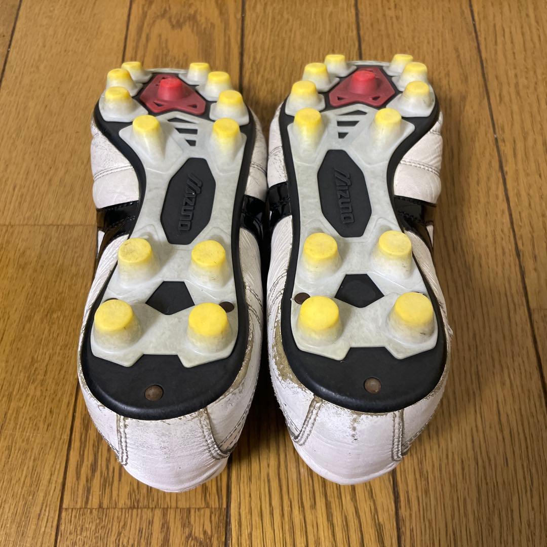入手困難　モレリア2ジャパン　クロスステッチ　23.5cm