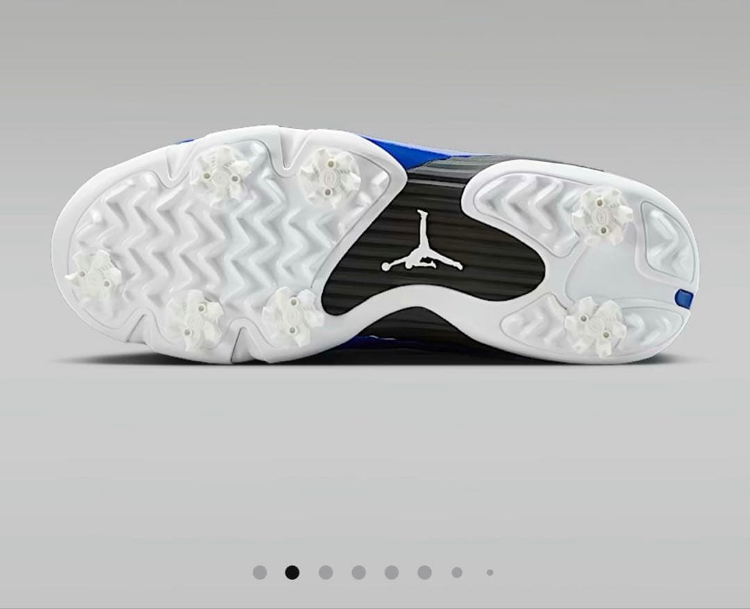 コ*)様 AIR JORDAN 14 G ゴルフシューズ 10 (US)