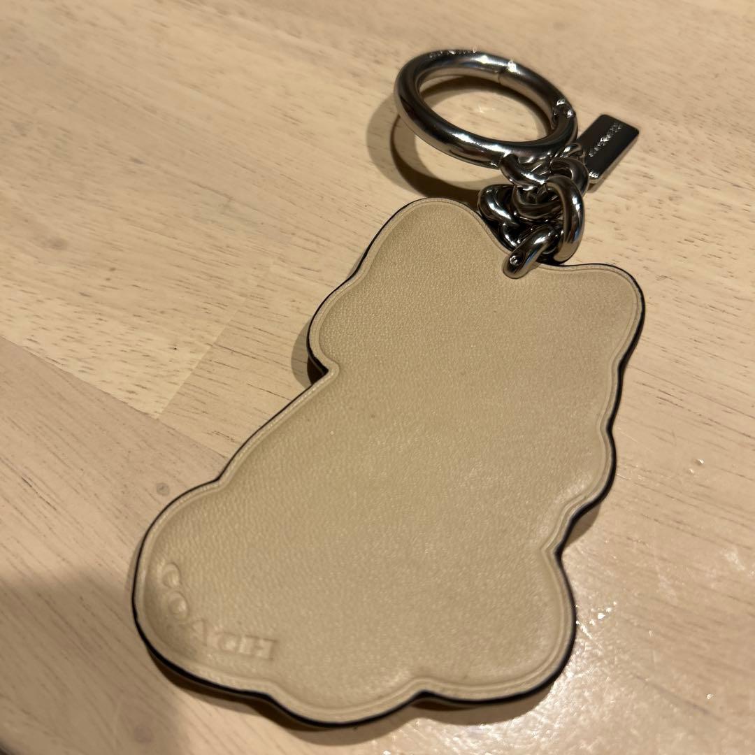 COACHレザーキーホルダー キャットストリート限定品 - メルカリ
