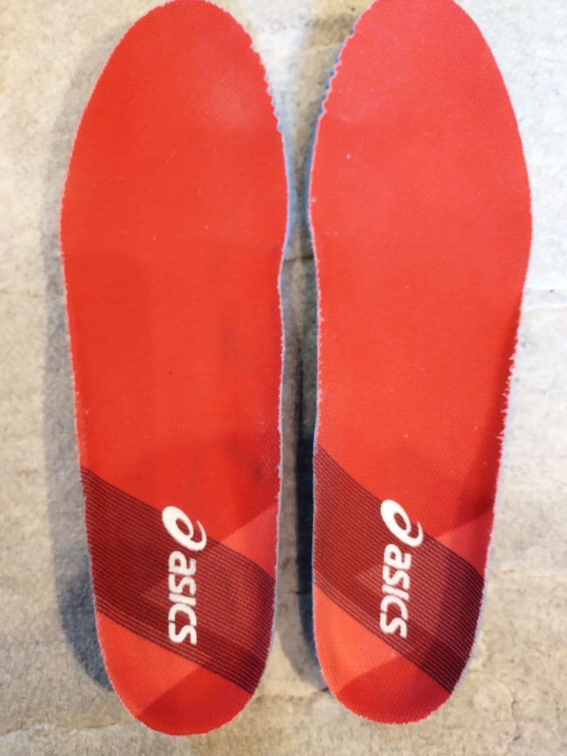 アシックス GEL-RESOLUTION 27.5cm Tokyo オールコート