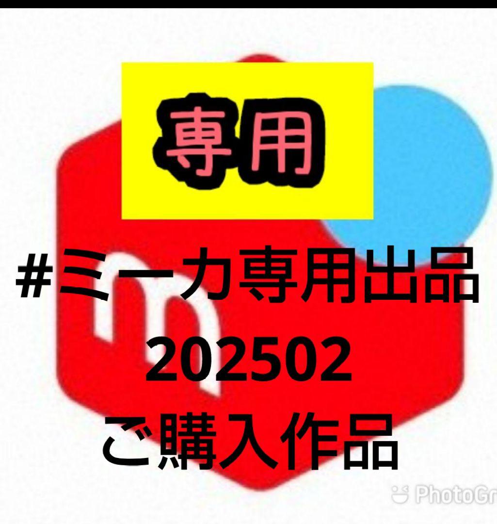 #ミーカ専用出品202502ご購入作品 ミーカ専用出品202502ご購入作品 ミーカ専用出品202502ご購入作品