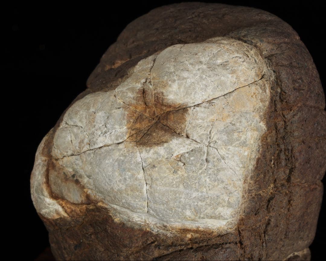 菊花石　花紋石 自然石 台座付 2.1kg 水石 置物 盆石 鑑賞石 原石 美石