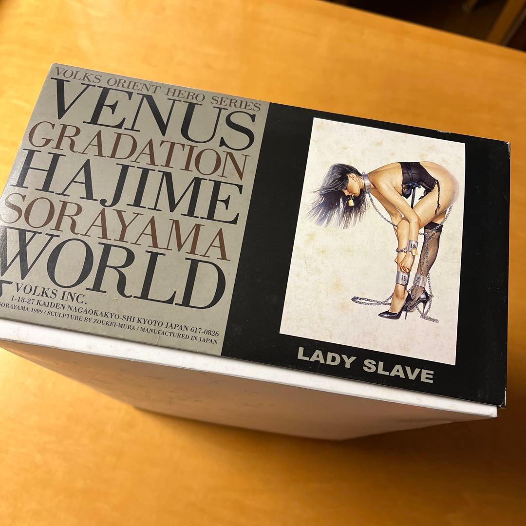 VENUS GRADATION HAJIME SORAYAMA WORLD空山基 - メルカリ