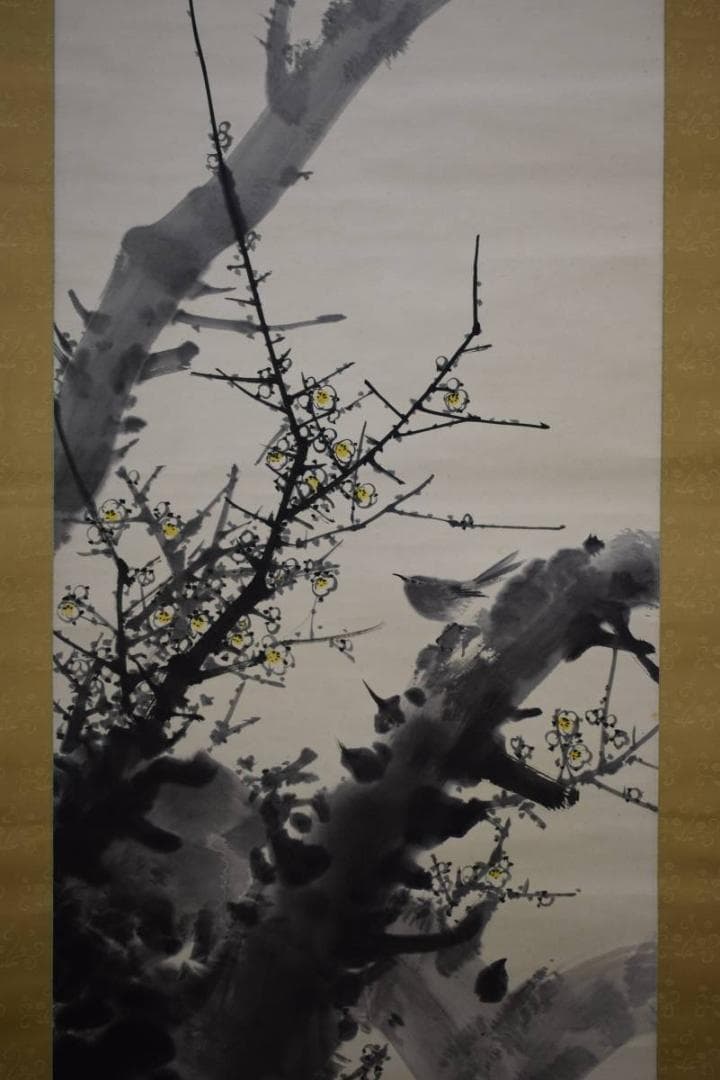 真作/高橋秋華/老梅図/桐共箱付/布袋屋掛軸HE-