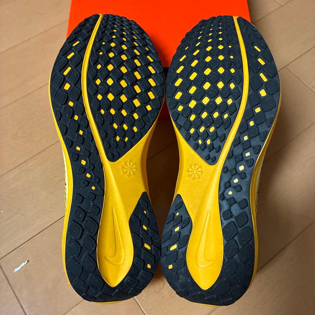 27.5cm ナイキ ペガサス41 LV8