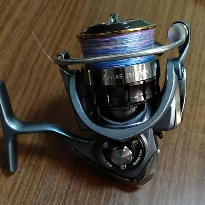 DAIWA ダイワ 15ルビアス 2510PE-H H アウトドア・釣り・旅行用品