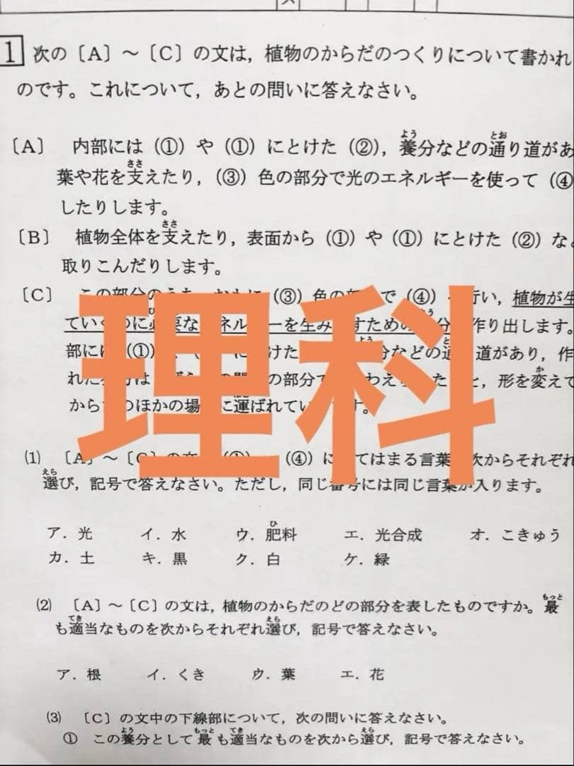 AKI☆☆様
