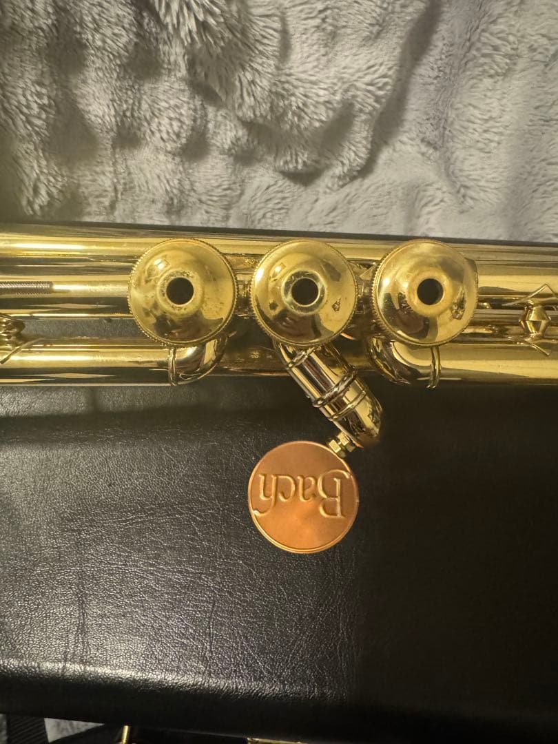 BACH トランペット ハードケースの通販 by chibimoon4347's shop