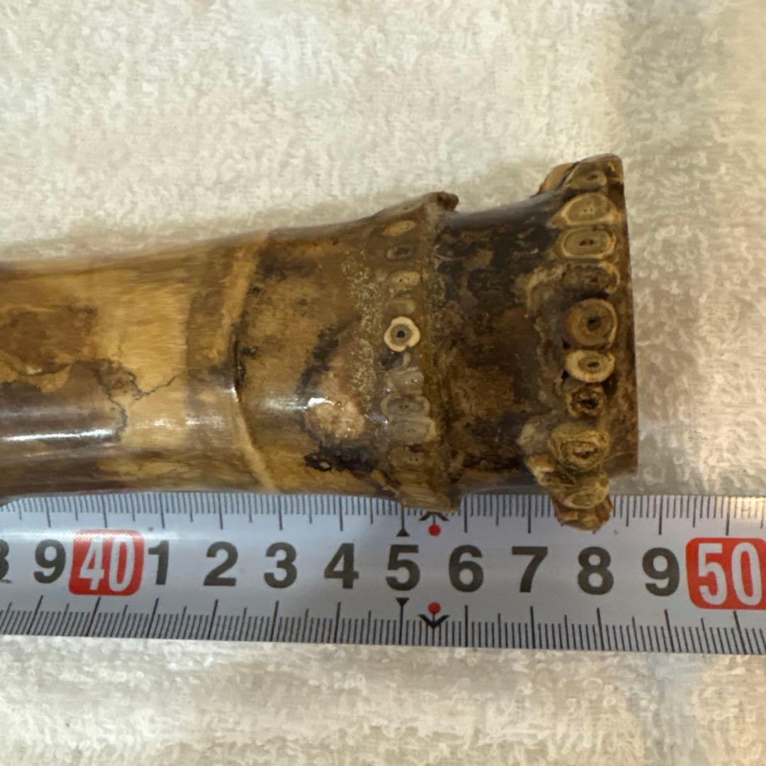 尺八 竹治刻印2箇所 銀三線 竹製 琴古流 約48、5㎝