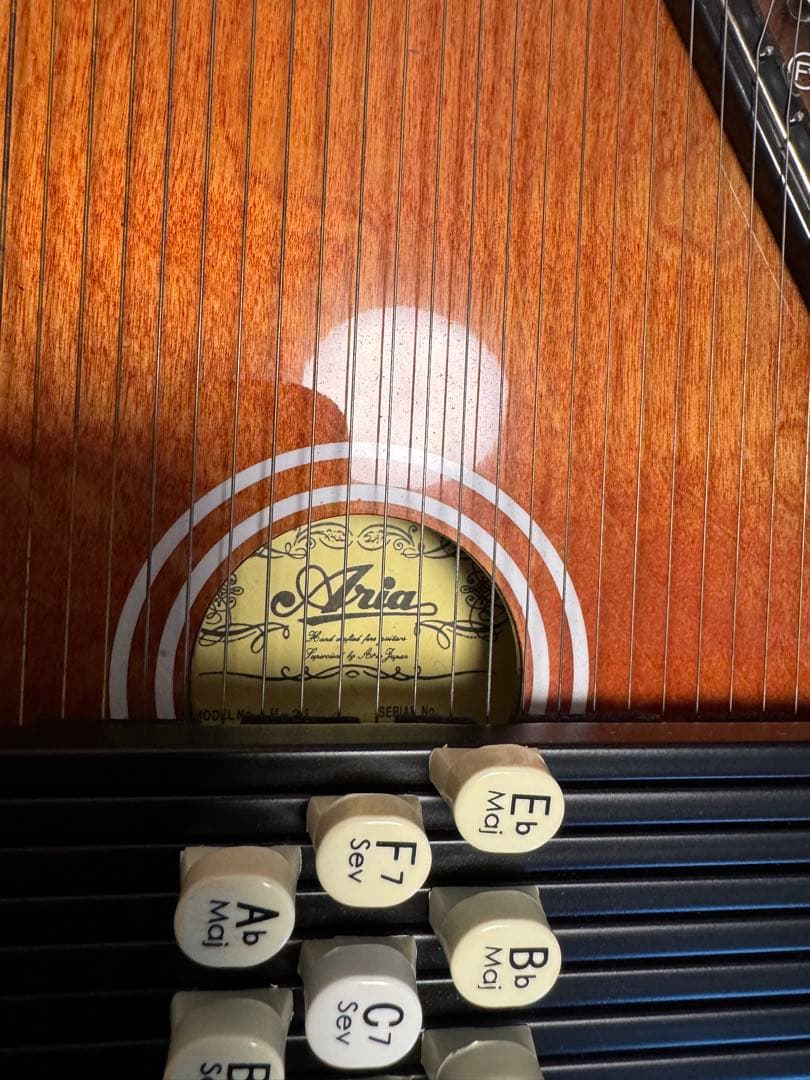 超 安いホビー・楽器・アート - ARIR Cordaharp 21コード （オート