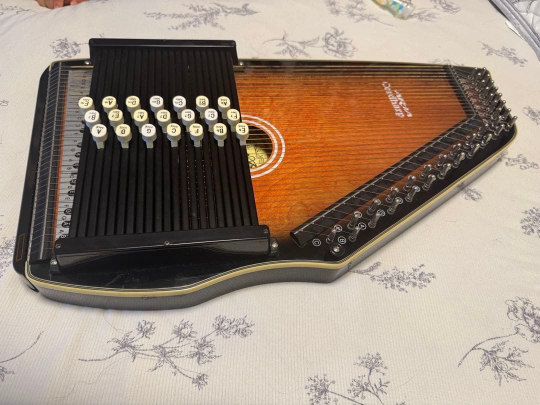 超 安いホビー・楽器・アート - ARIR Cordaharp 21コード （オート