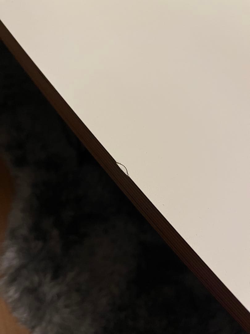 HermanMiller/ハーマンミラー ■Elliptical Table■