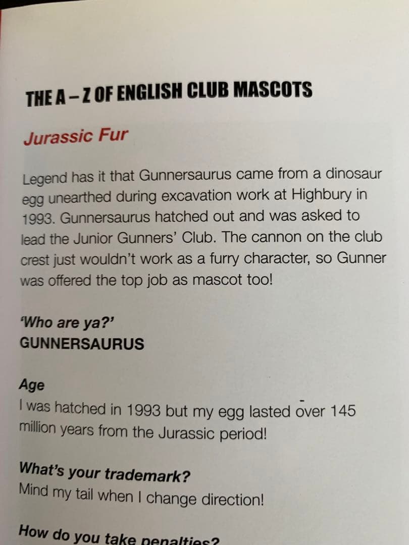 英国サッカーチームマスコット大全集！入手不可能