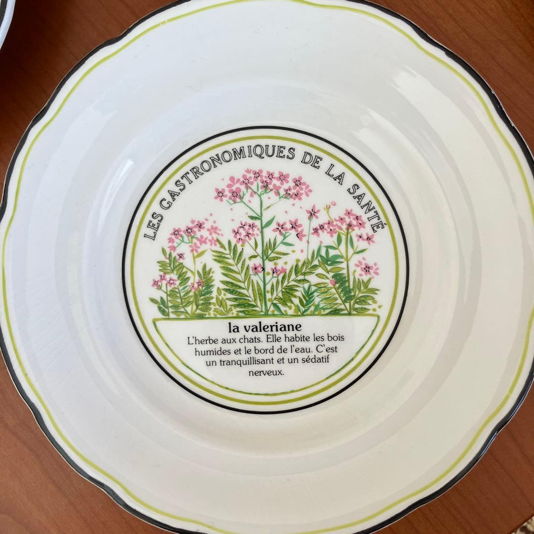 GIEN(ジアン) フランス　デザート皿8枚セット《ヴィンテージ品》美品・希少
