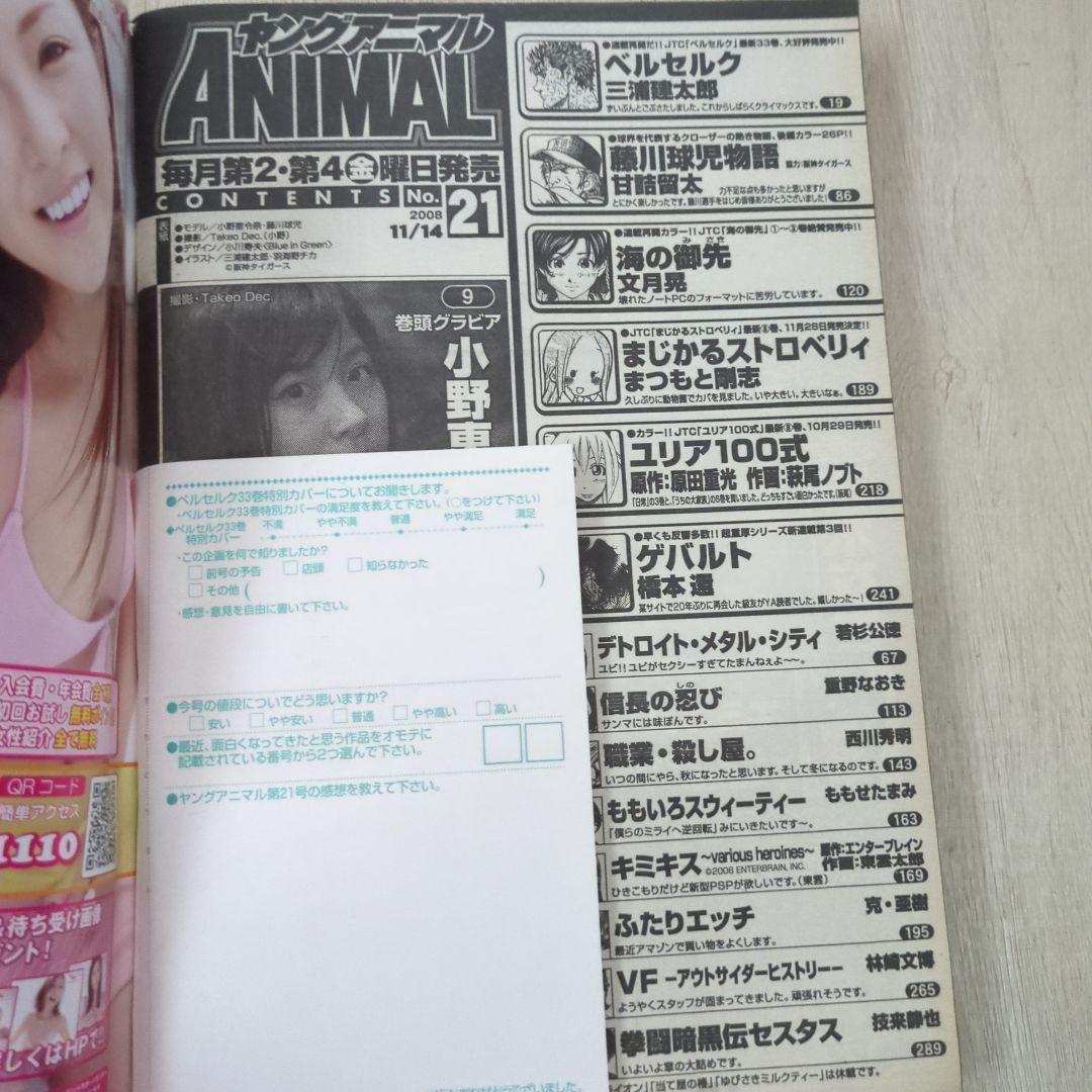 ヤングアニマル2008.11.14 ベルセルク特別カバー付録有り
