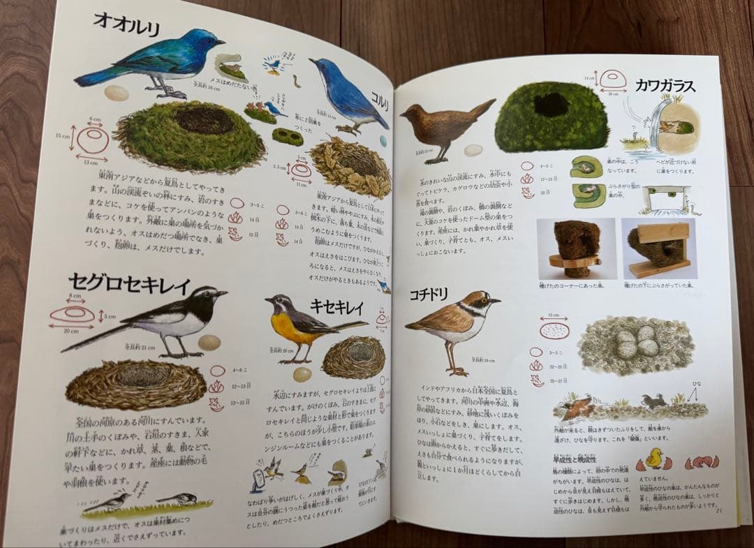 岩崎書店 絵本図鑑シリーズ 全31巻