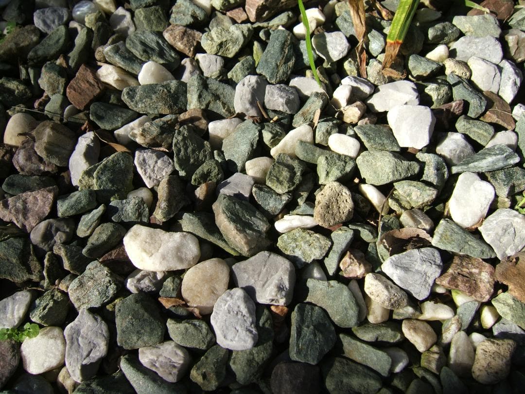 d*7様 FUJIFILM Finepix F810 超美 ちょい残念 カードも - デジタル