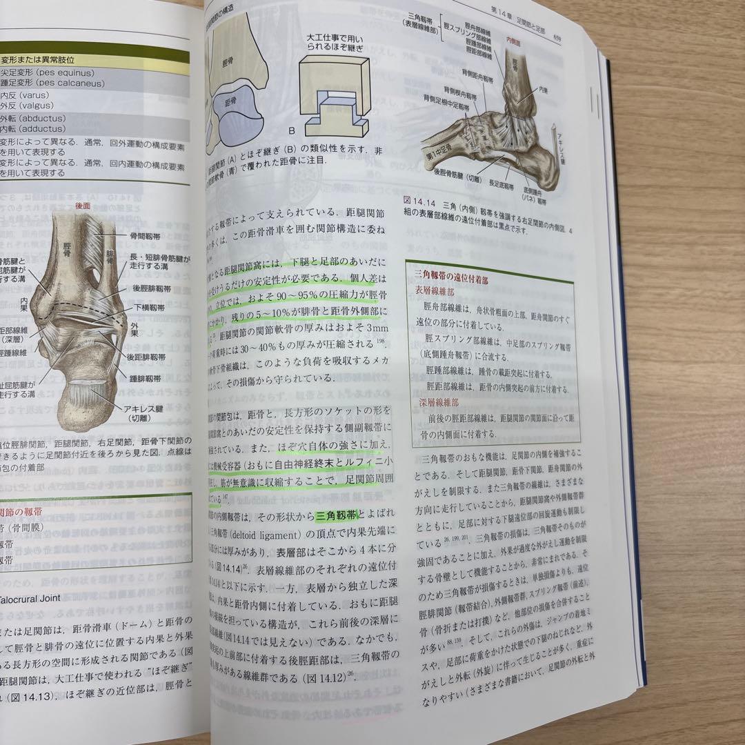 筋骨格系のキネシオロジー 第3版 - メルカリ