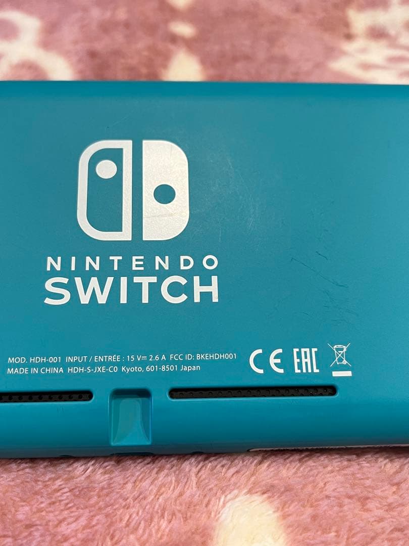 switch light スイッチライト ターコイズ 本体 充電器 SDカード