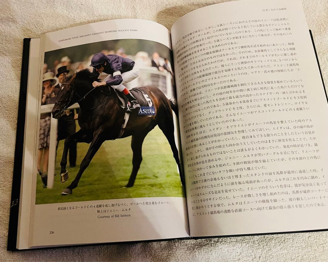 非売品】クールモア・スタッド (海外競馬・種牡馬)