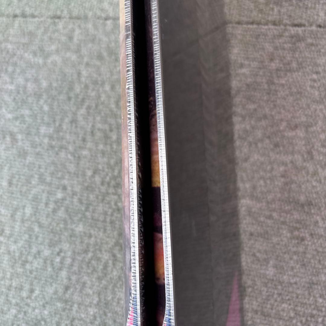 ARMADA アートワーク スキー板 新品未開封 163㎝ - メルカリ