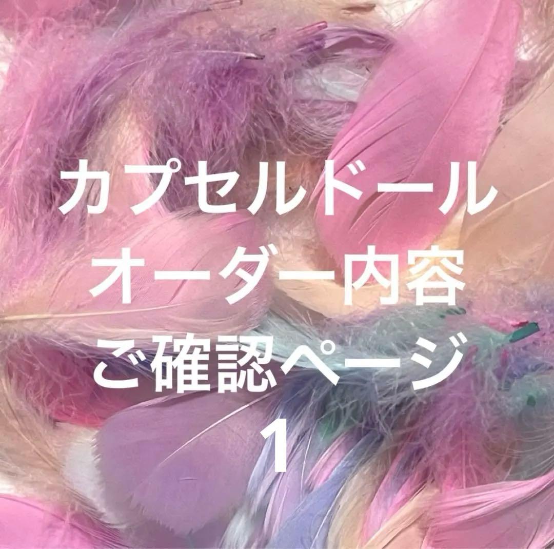 カプセルドール オーダー内容ご確認ページ1 ※こちらからのオーダーは