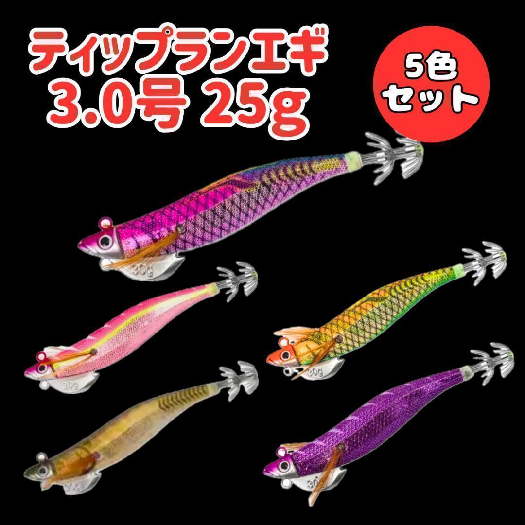 餌木 ティップランエギ 3.0号 25g 5個セットケース付き エギングTR