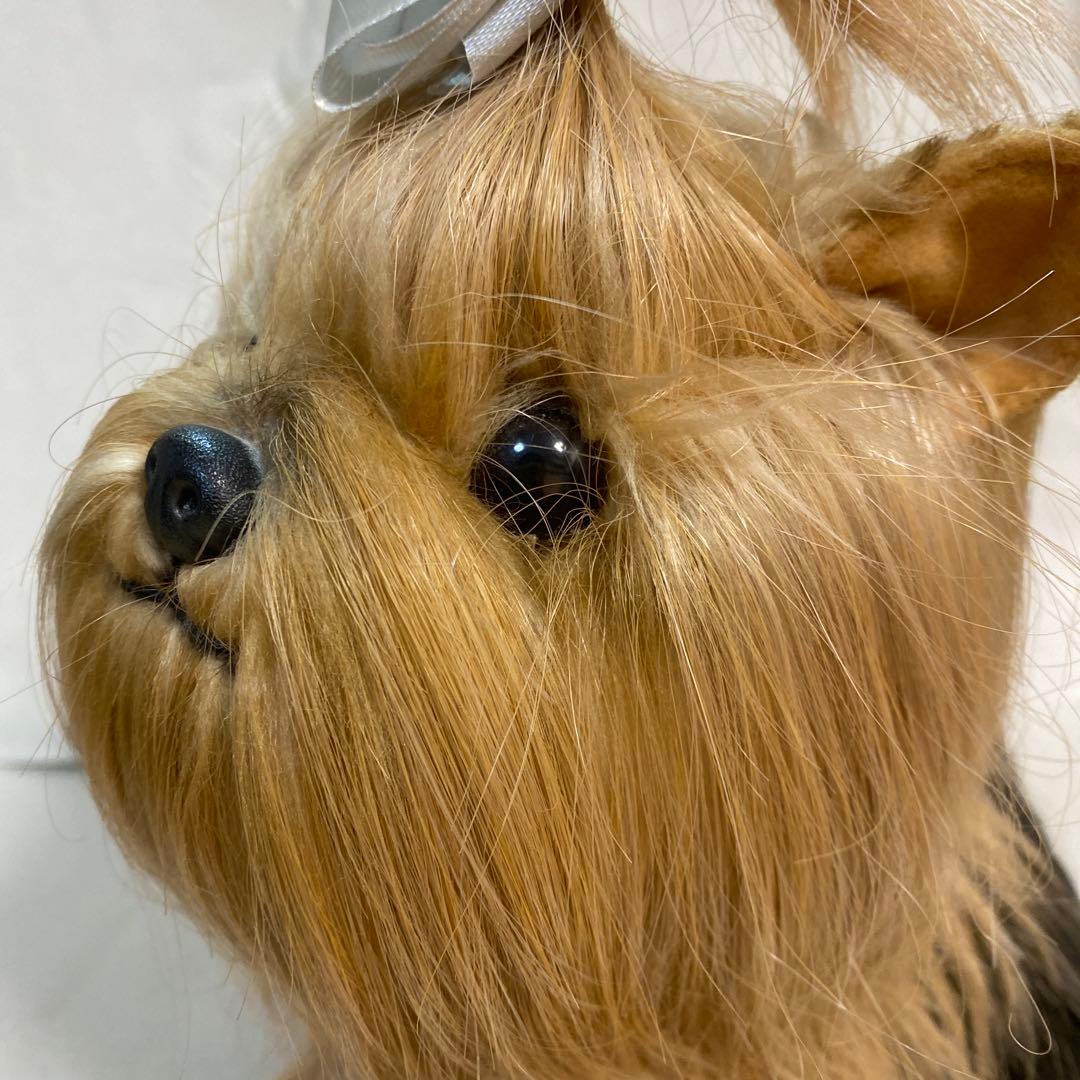 フォンテーヌ ドレッシーペット ヨークシャテリア - メルカリ