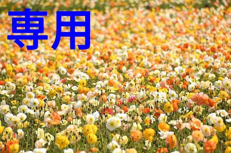 ☆ANOKOTATI☆さん専用 アイトスAITOZの作業服秋冬用 カーゴパンツ3821| サンワーク本店