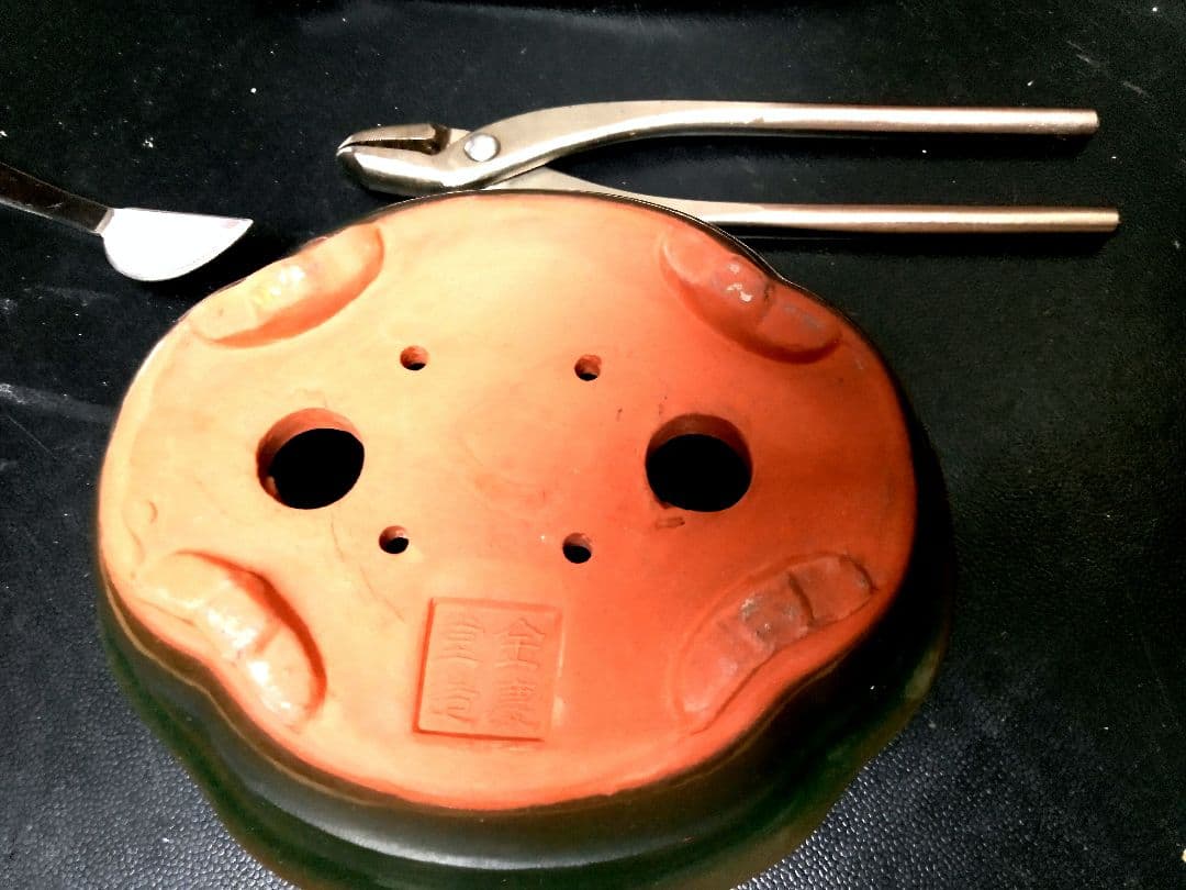 小品 糸魚川真柏盆栽】 ⭕小品No.1お気に入り品 ☆あきちゃん様…専用