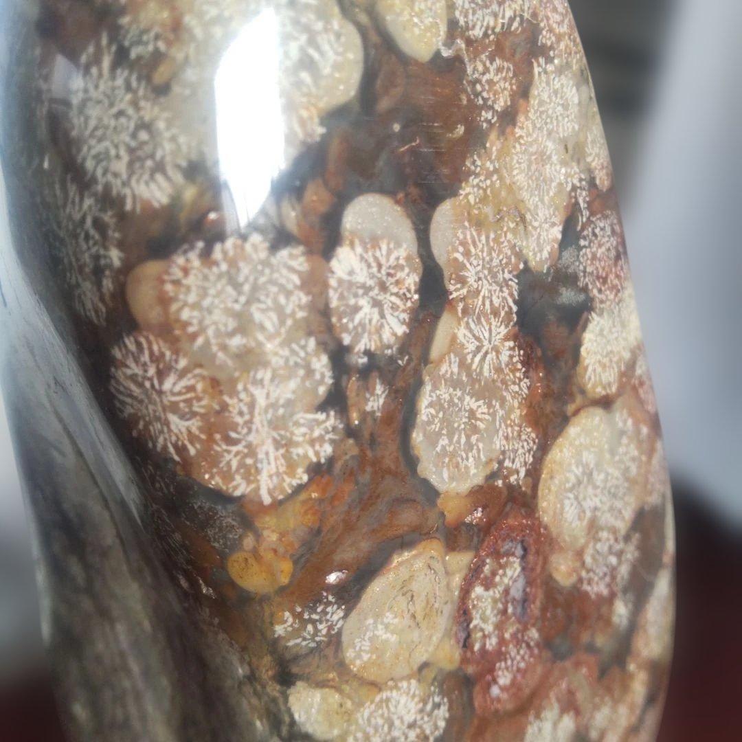 花紋石 青森県深浦町産 4060g 管理No.71105 花紋石 青森県深浦