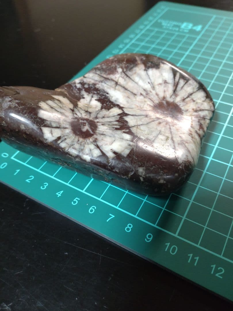 K*0様 菊花石 ピンク花 孔雀部分 根尾 鑑賞石 水石 自然石