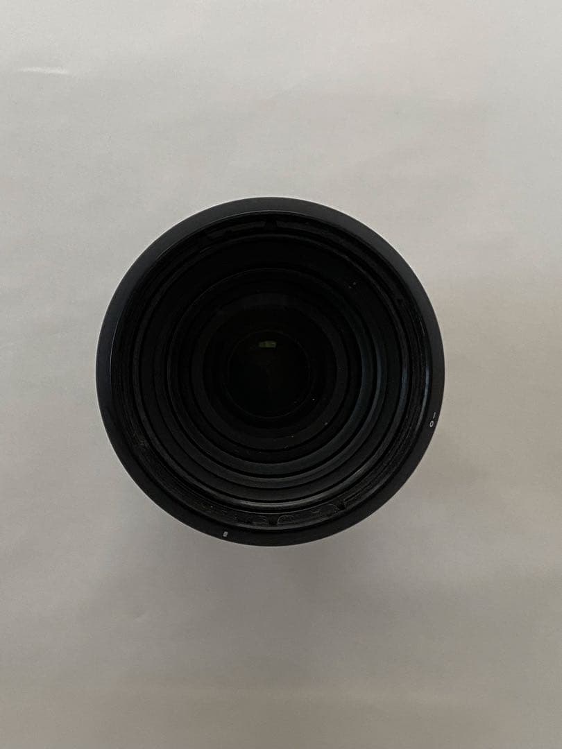 TAMRON 28-200mm F2.8-5.6 ＋ SLIK自立一脚セット