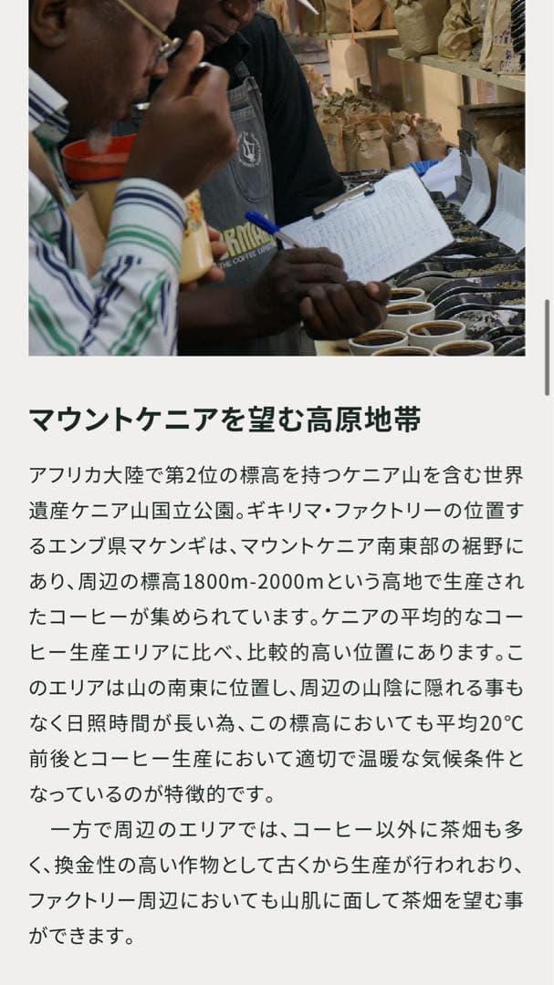 コーヒー生豆 ケニアピーベリー☆ハンドピック済み後の3kg