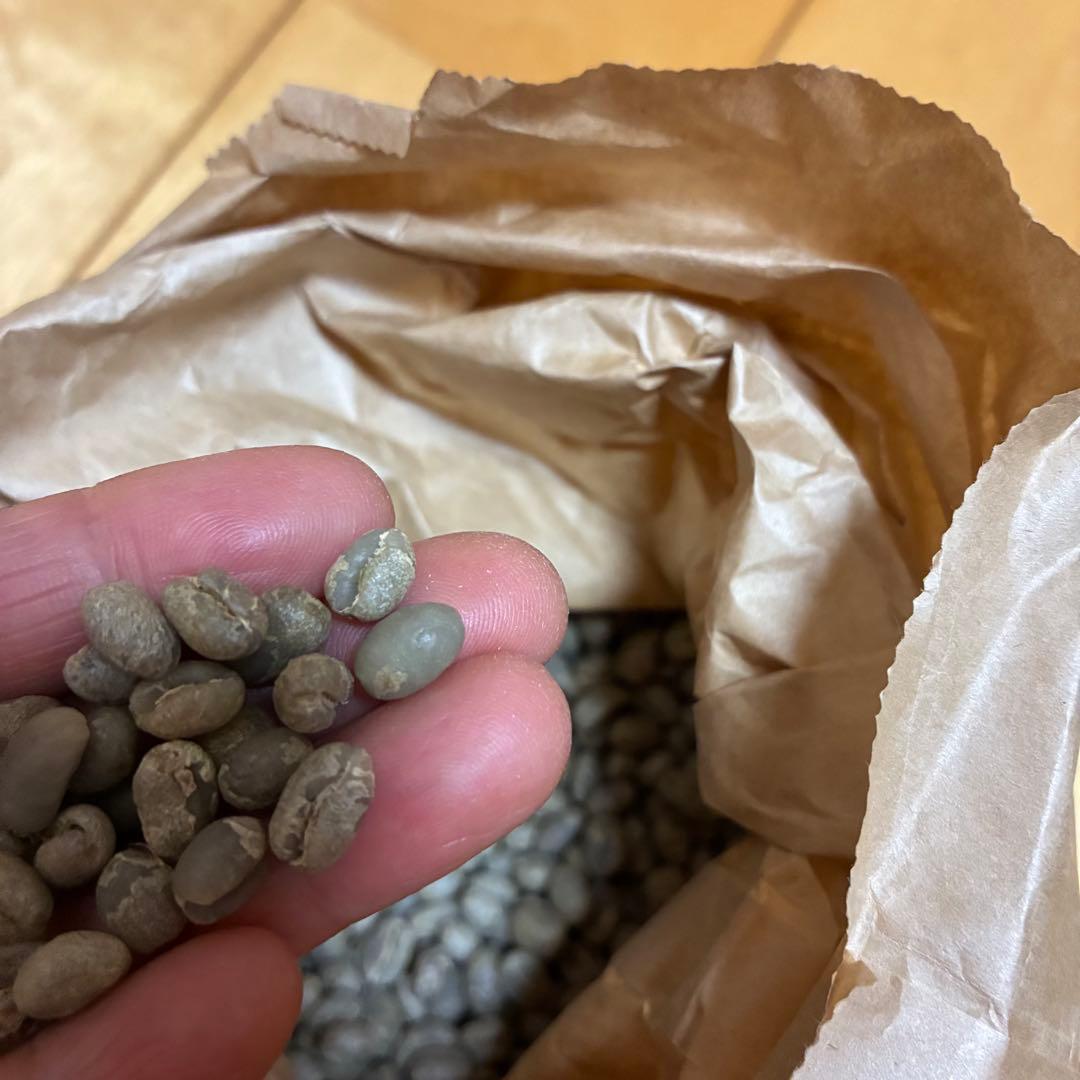 コーヒー生豆 ケニアピーベリー☆ハンドピック済み後の3kg